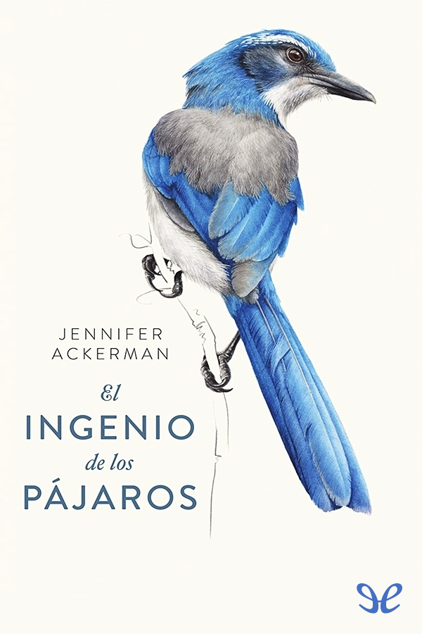 El ingenio de los pájaros