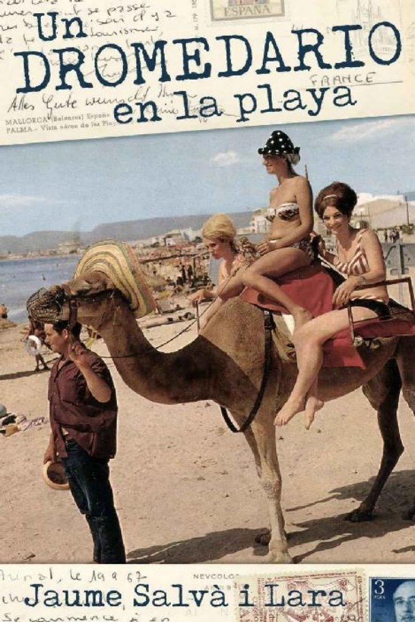 Un dromedario en la playa