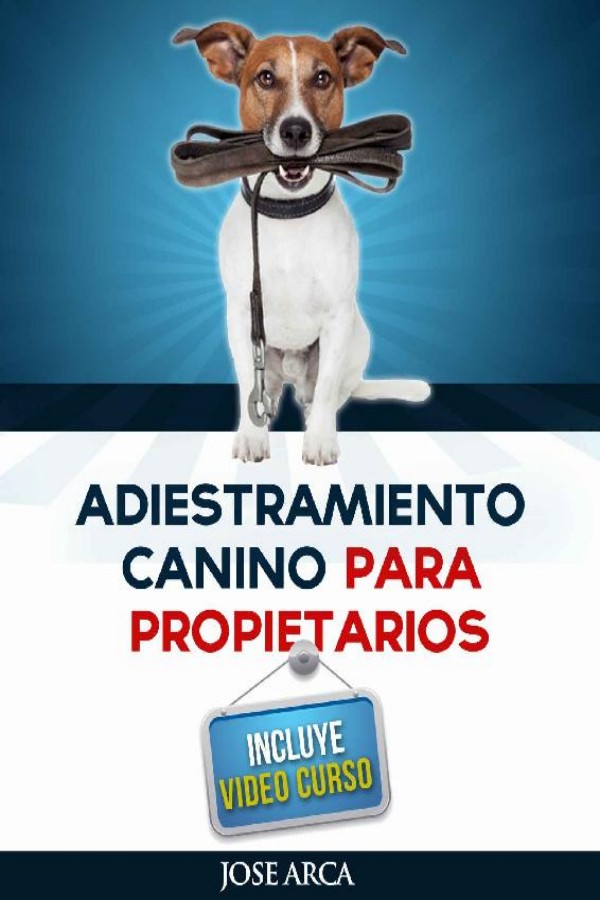 Adiestramiento canino para propietarios